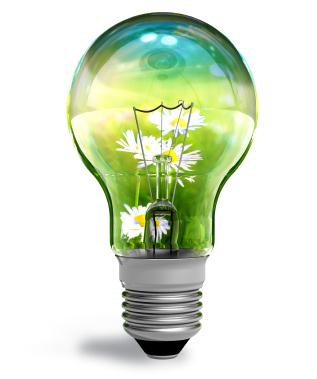 lightbulb daisy